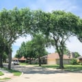 Preserving Urban Canopy: Professional Tree Service Solutions For Urban Forestry In New Tampa, FL