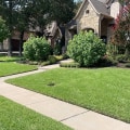From Concrete Jungle To Urban Oasis: Utilizing Sod Grass For Urban Forestry In Austin, TX