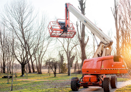 Enhancing The Beauty Of Bethany With Tree Service And Urban Forestry