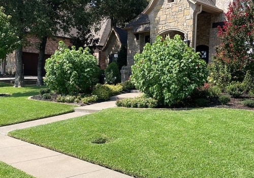 From Concrete Jungle To Urban Oasis: Utilizing Sod Grass For Urban Forestry In Austin, TX